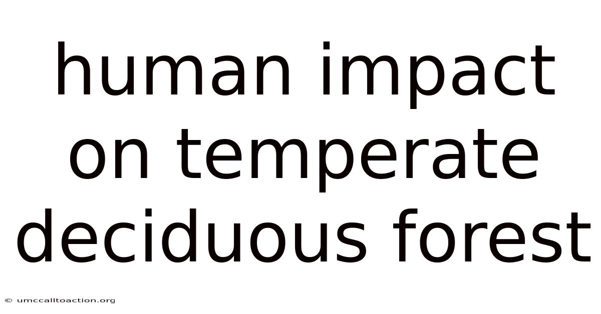 Human Impact On Temperate Deciduous Forest