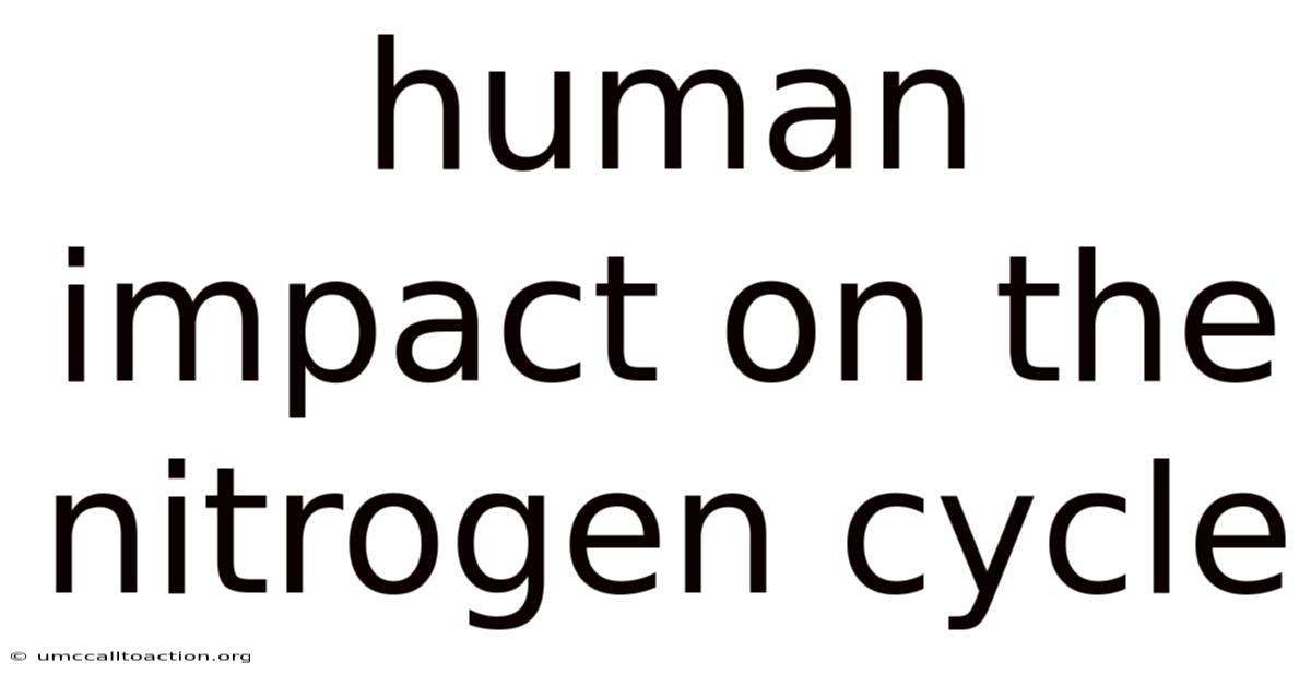 Human Impact On The Nitrogen Cycle