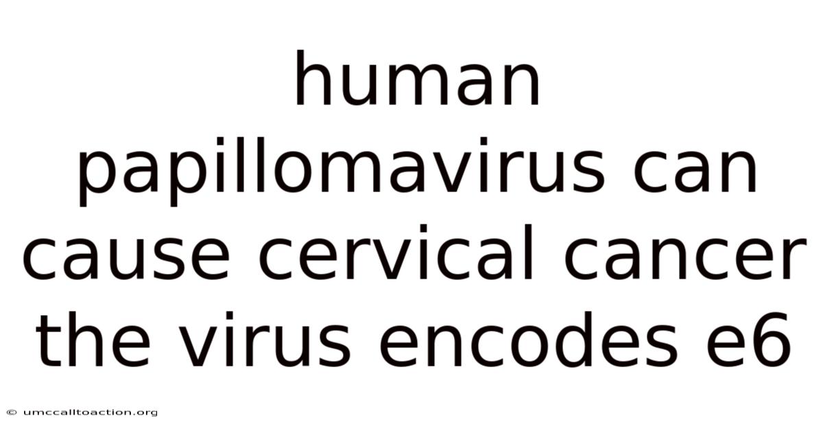 Human Papillomavirus Can Cause Cervical Cancer The Virus Encodes E6