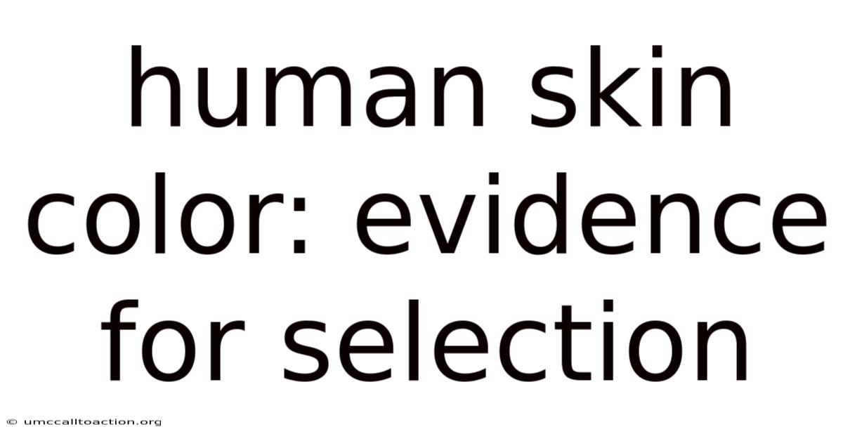Human Skin Color: Evidence For Selection