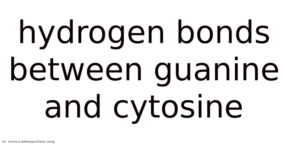 Hydrogen Bonds Between Guanine And Cytosine