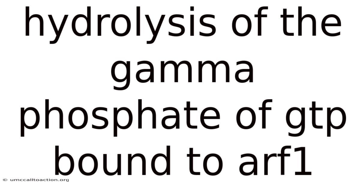 Hydrolysis Of The Gamma Phosphate Of Gtp Bound To Arf1