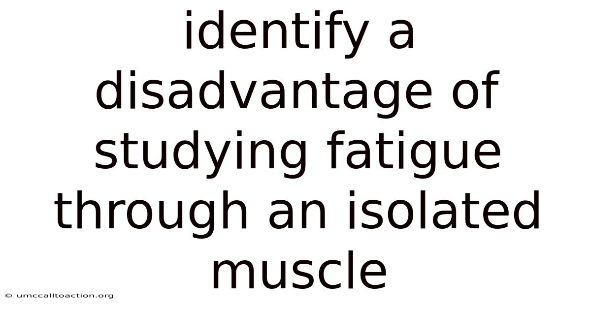 Identify A Disadvantage Of Studying Fatigue Through An Isolated Muscle