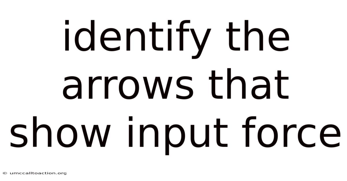 Identify The Arrows That Show Input Force