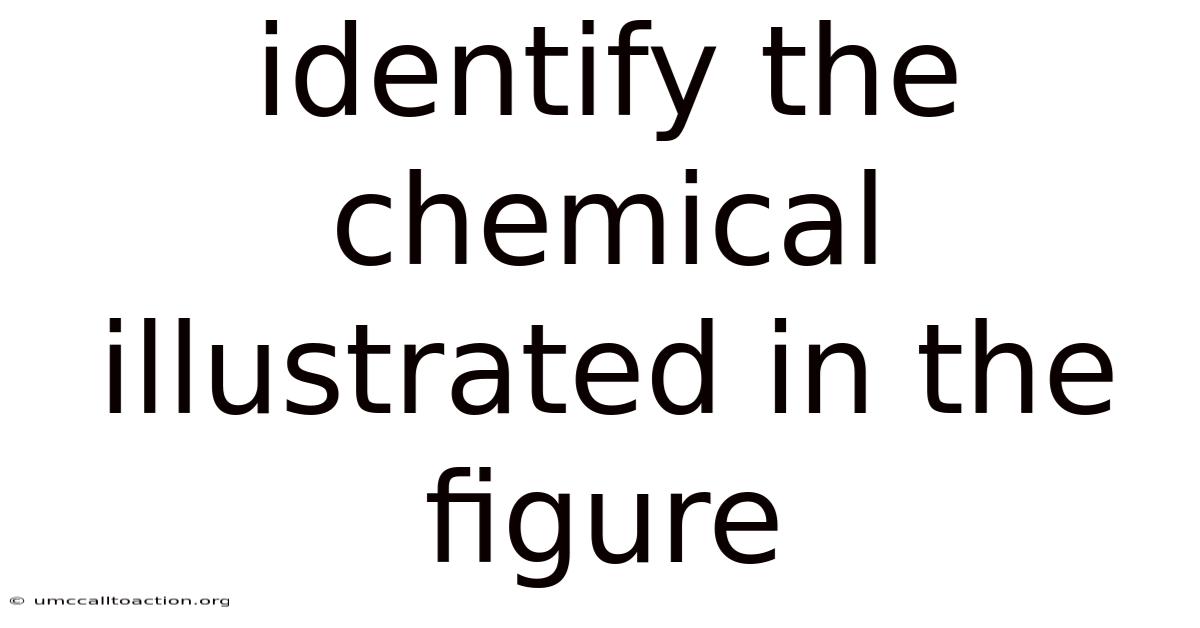 Identify The Chemical Illustrated In The Figure