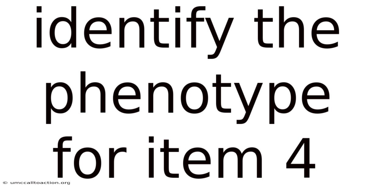 Identify The Phenotype For Item 4