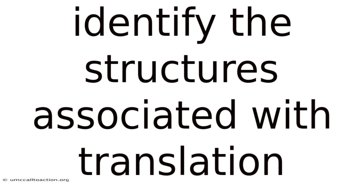 Identify The Structures Associated With Translation
