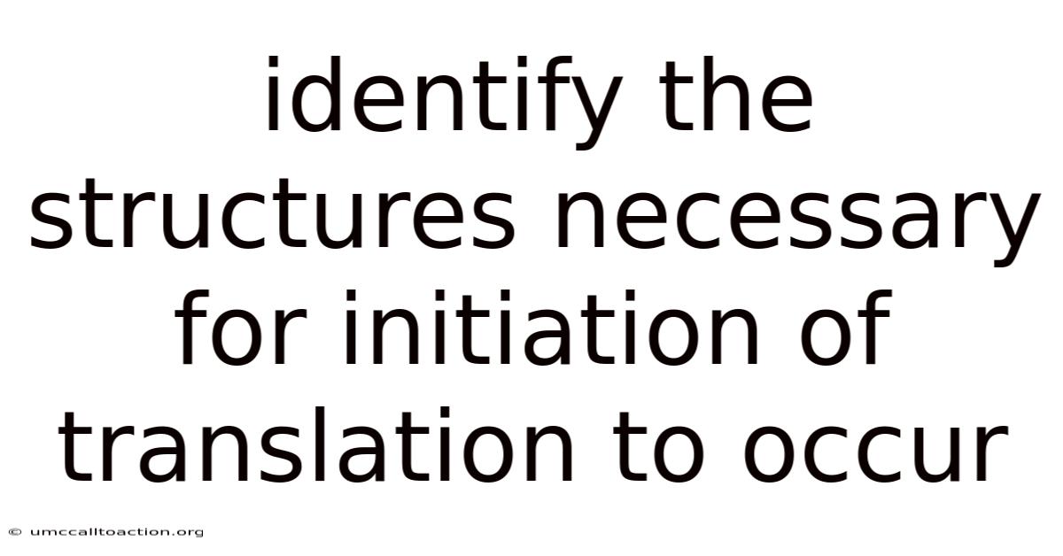 Identify The Structures Necessary For Initiation Of Translation To Occur