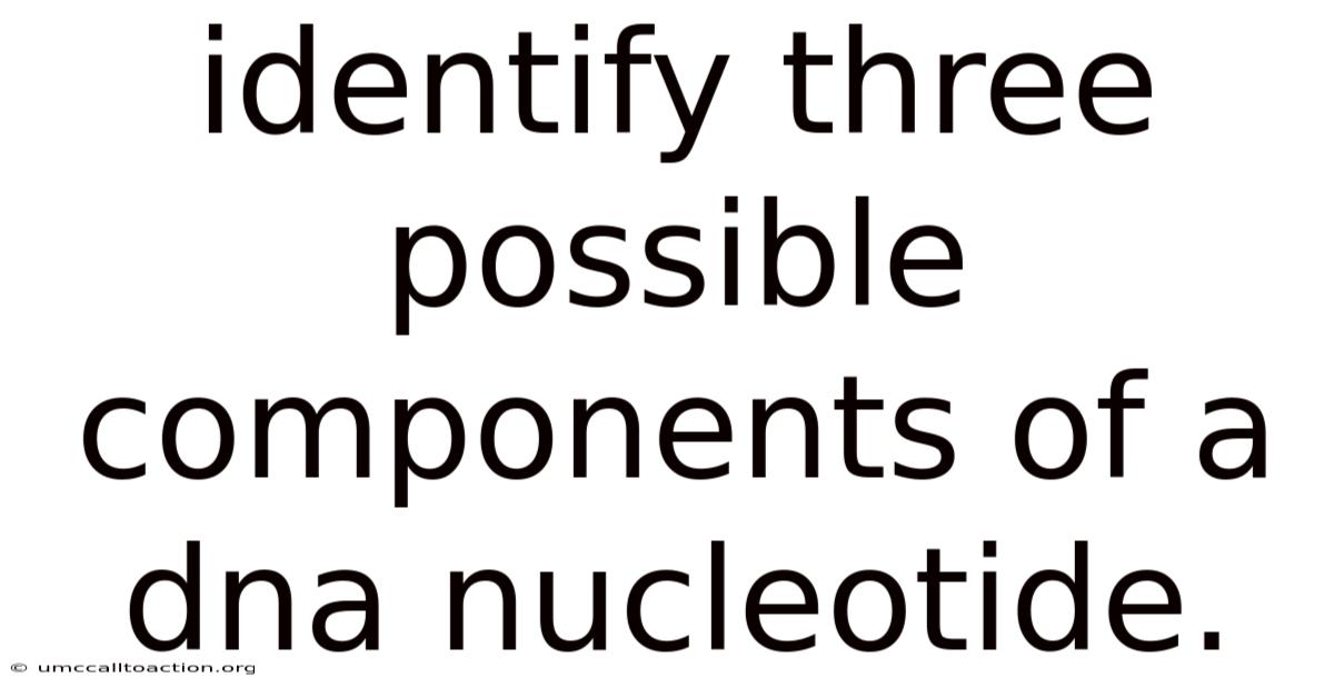 Identify Three Possible Components Of A Dna Nucleotide.