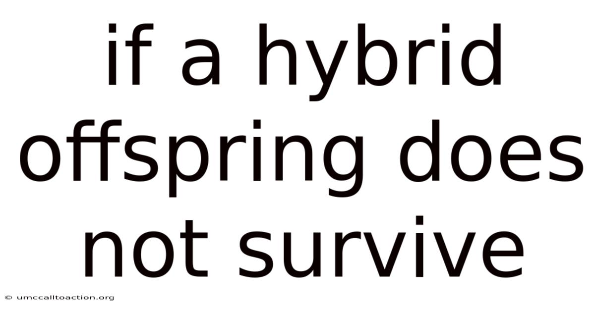 If A Hybrid Offspring Does Not Survive
