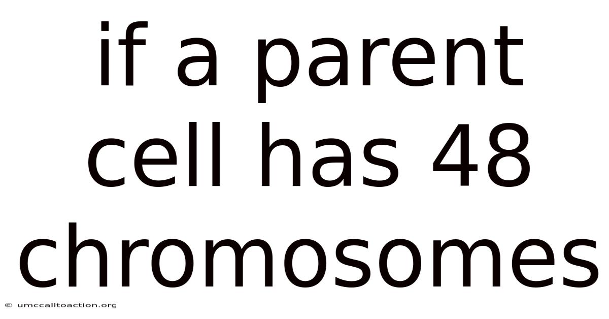 If A Parent Cell Has 48 Chromosomes