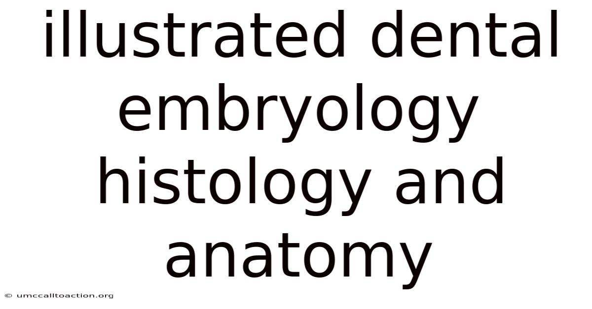 Illustrated Dental Embryology Histology And Anatomy