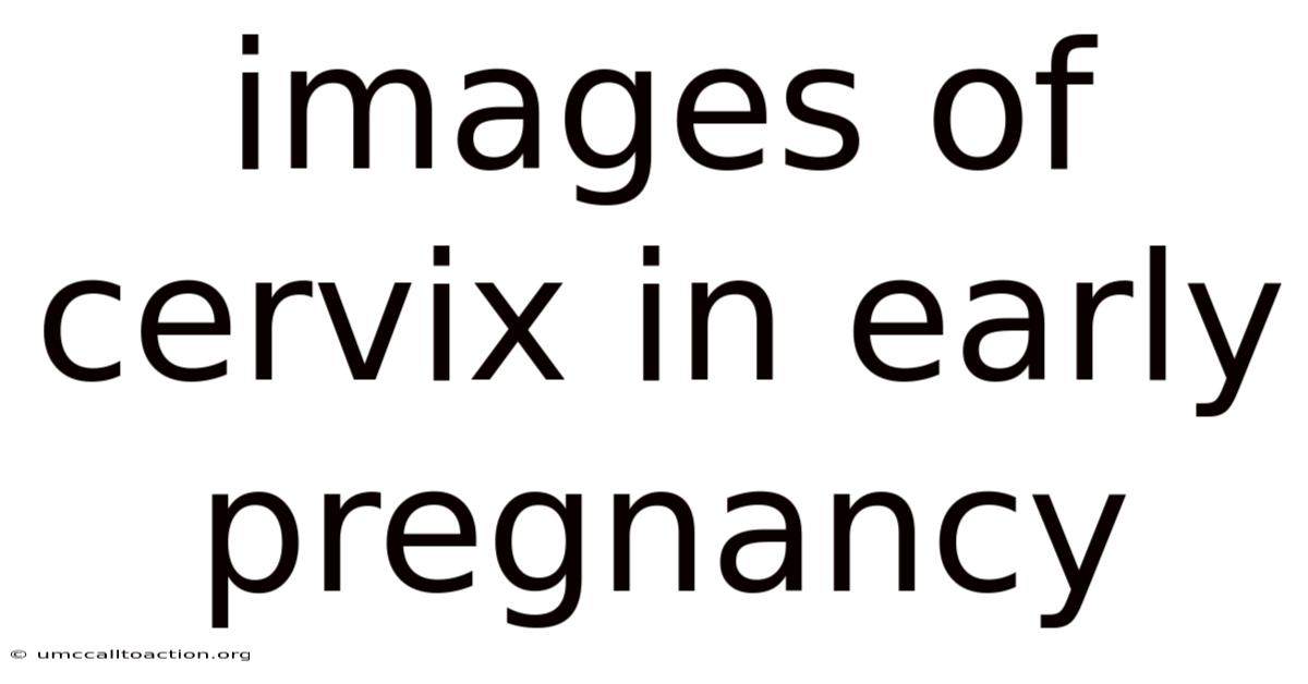 Images Of Cervix In Early Pregnancy
