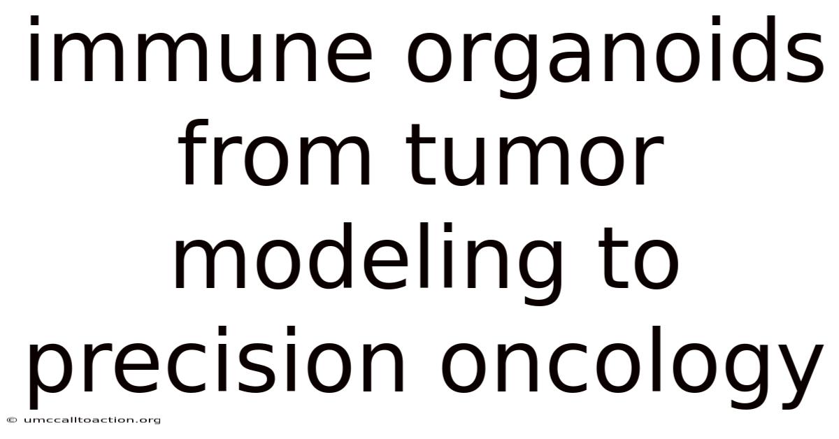 Immune Organoids From Tumor Modeling To Precision Oncology