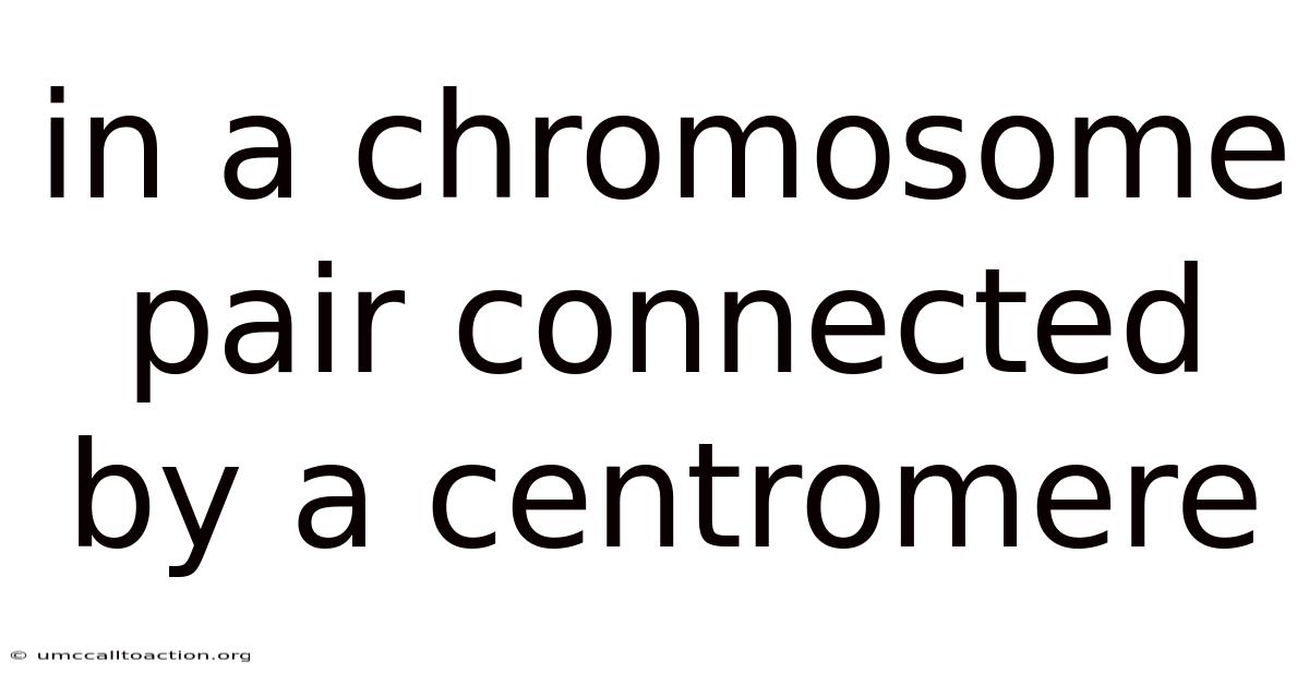 In A Chromosome Pair Connected By A Centromere