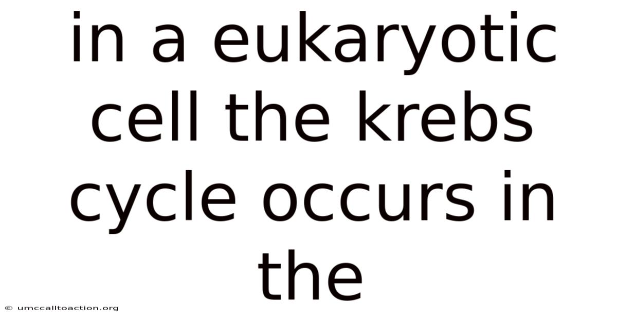 In A Eukaryotic Cell The Krebs Cycle Occurs In The