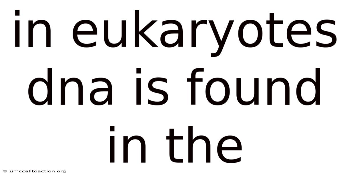 In Eukaryotes Dna Is Found In The