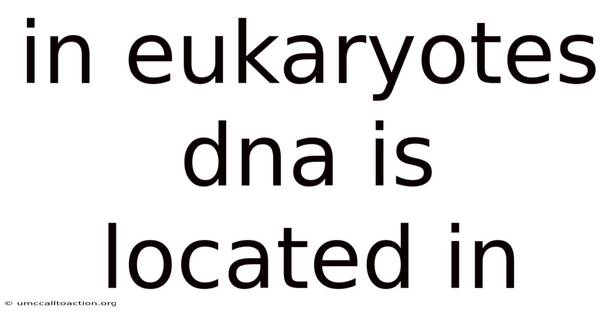 In Eukaryotes Dna Is Located In