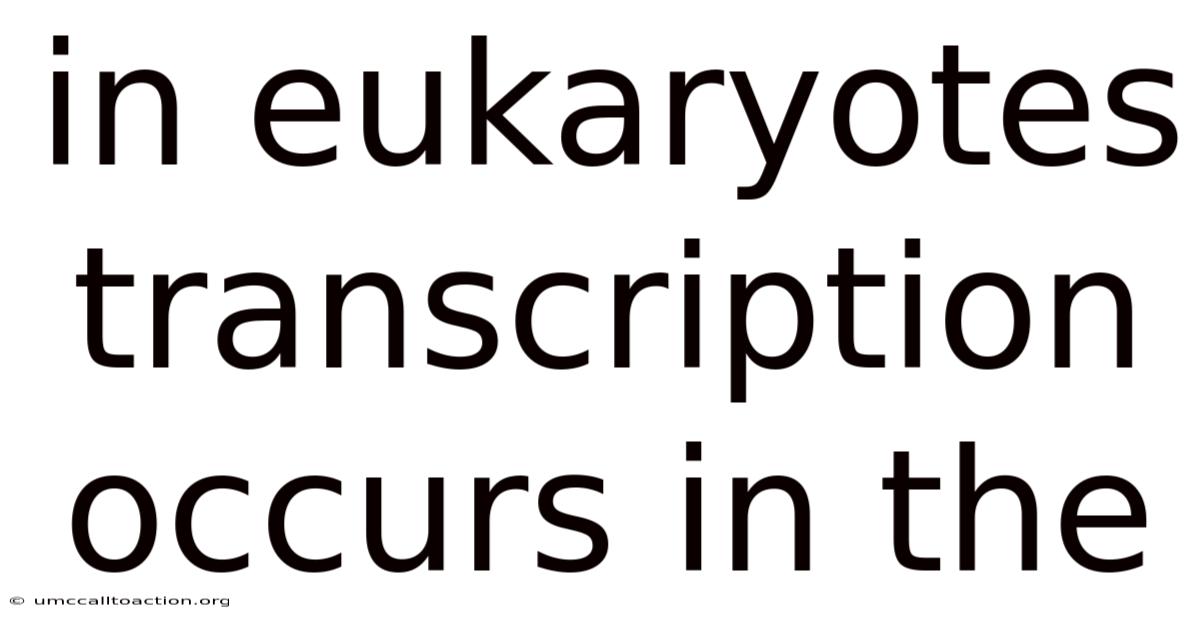 In Eukaryotes Transcription Occurs In The
