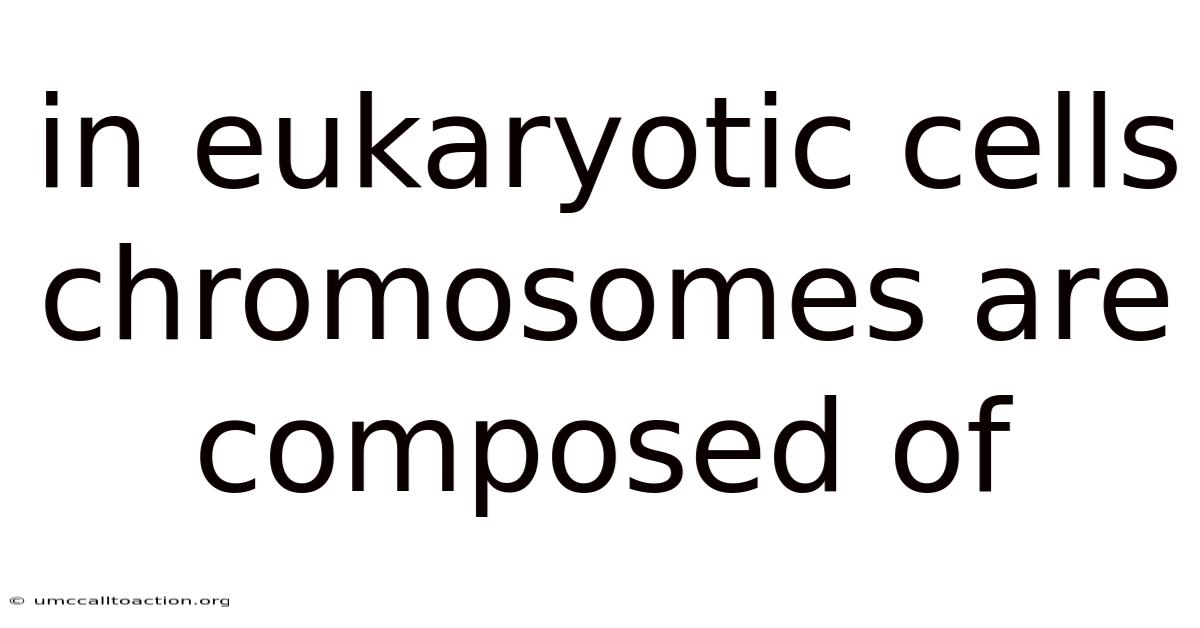 In Eukaryotic Cells Chromosomes Are Composed Of