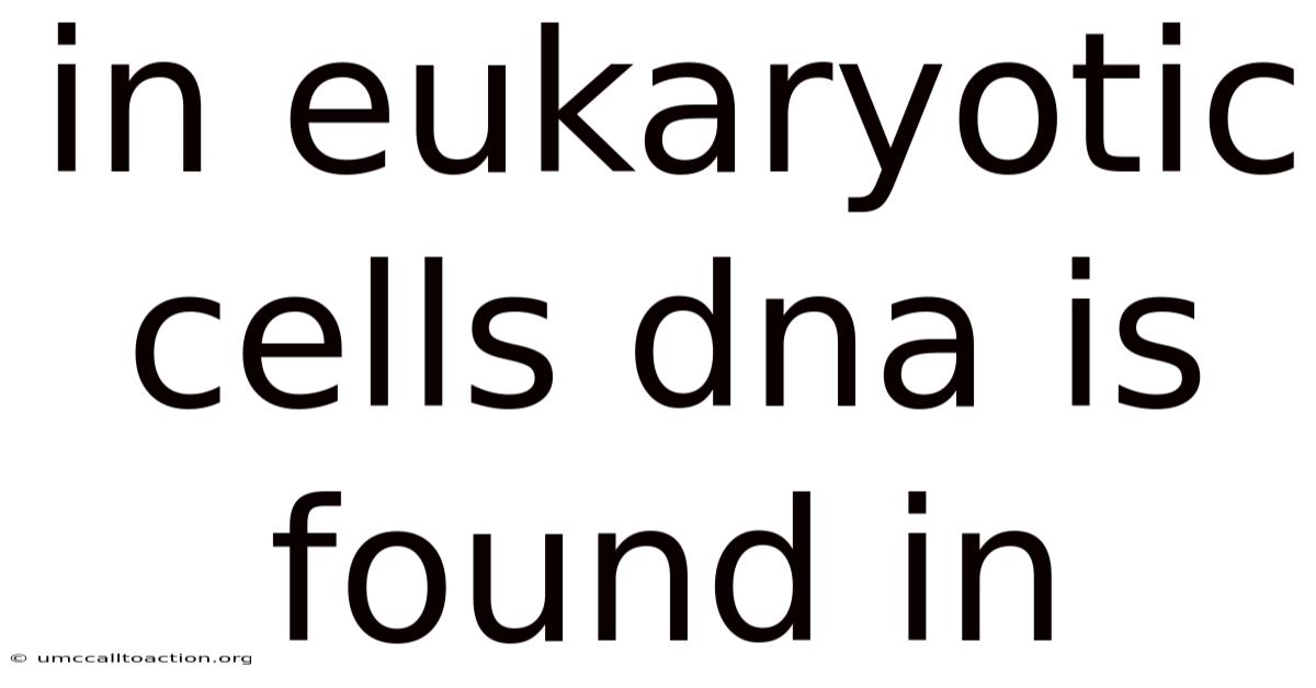 In Eukaryotic Cells Dna Is Found In