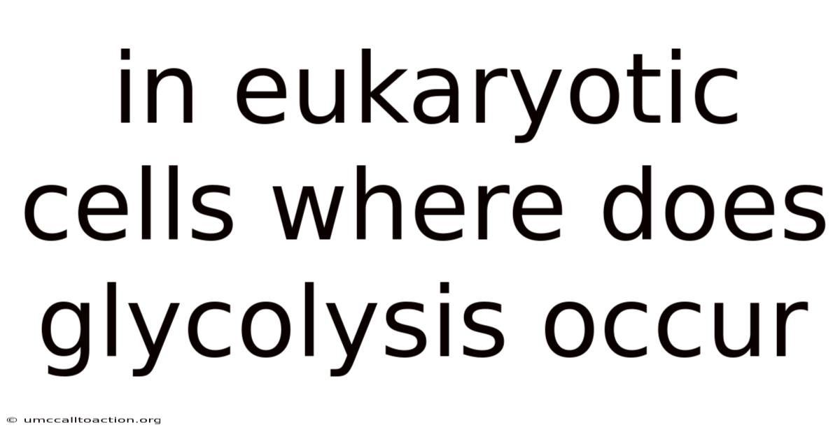 In Eukaryotic Cells Where Does Glycolysis Occur