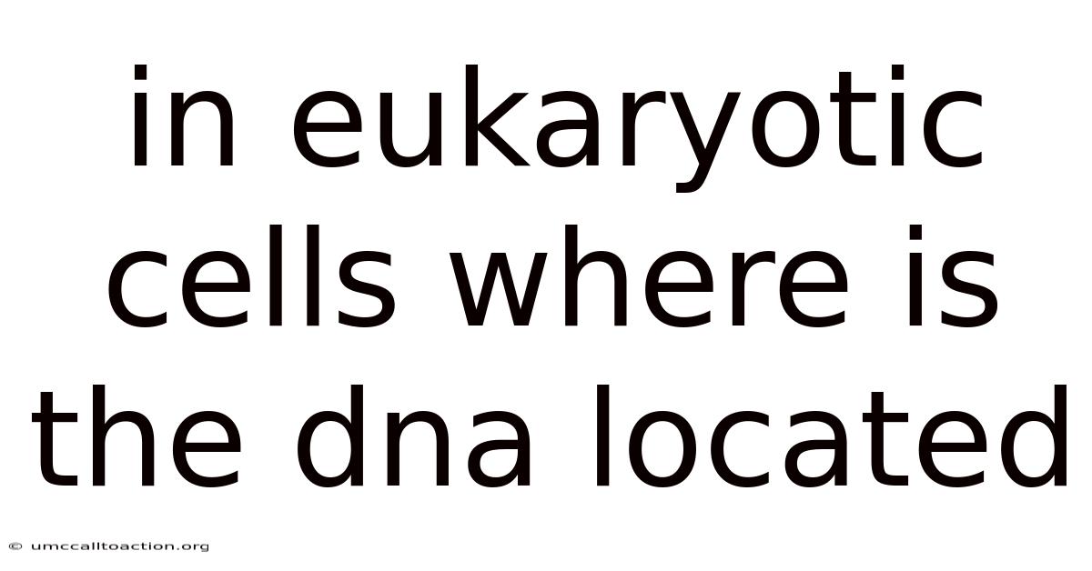 In Eukaryotic Cells Where Is The Dna Located