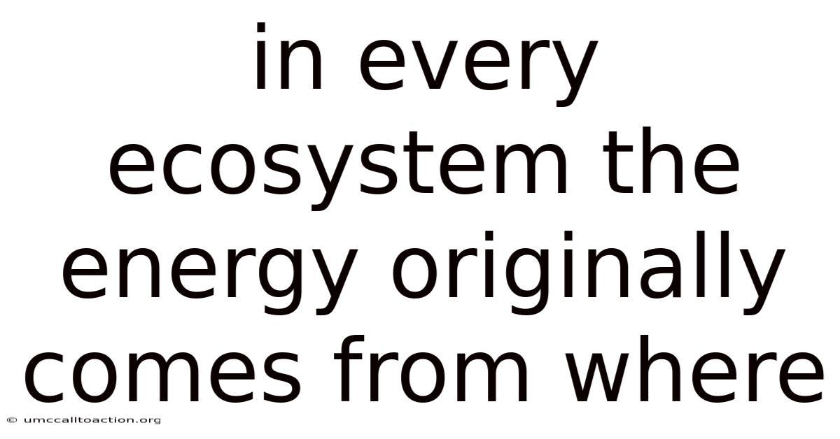 In Every Ecosystem The Energy Originally Comes From Where