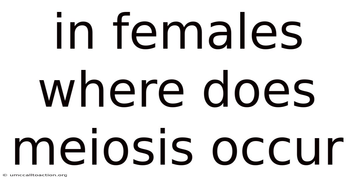 In Females Where Does Meiosis Occur