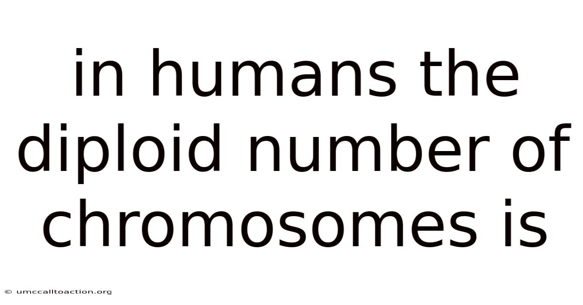 In Humans The Diploid Number Of Chromosomes Is