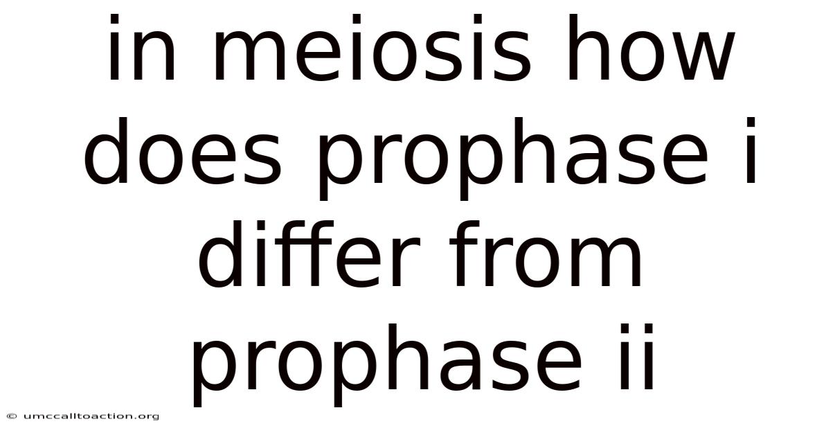 In Meiosis How Does Prophase I Differ From Prophase Ii
