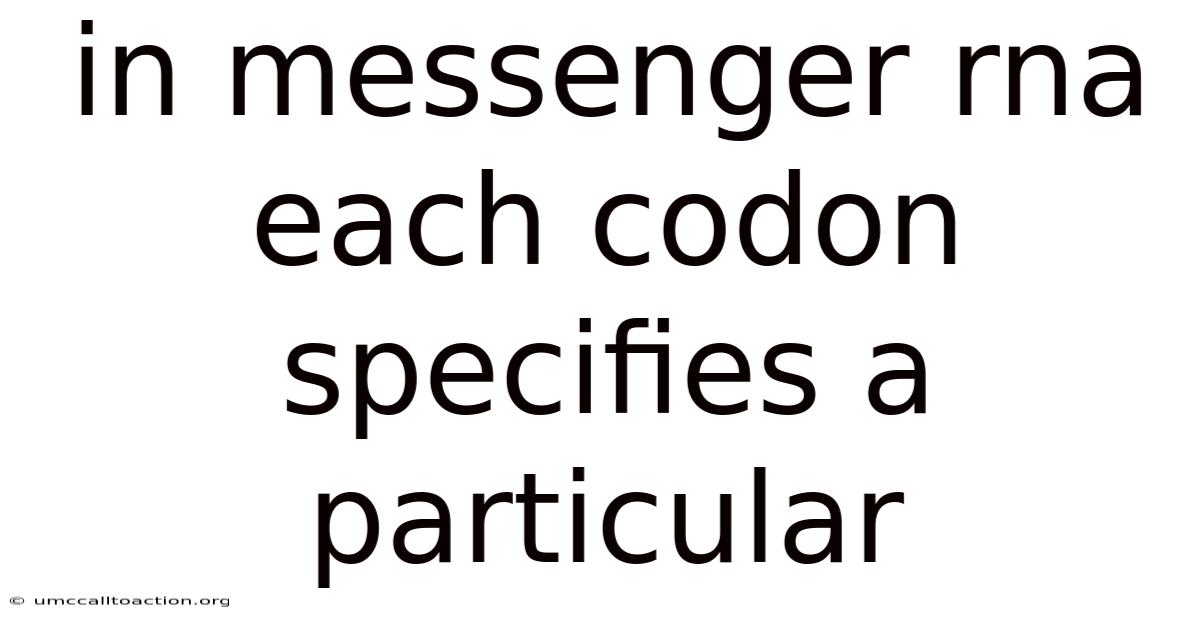 In Messenger Rna Each Codon Specifies A Particular