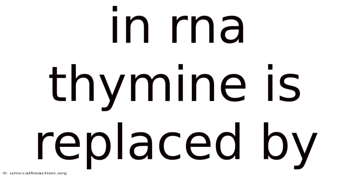 In Rna Thymine Is Replaced By