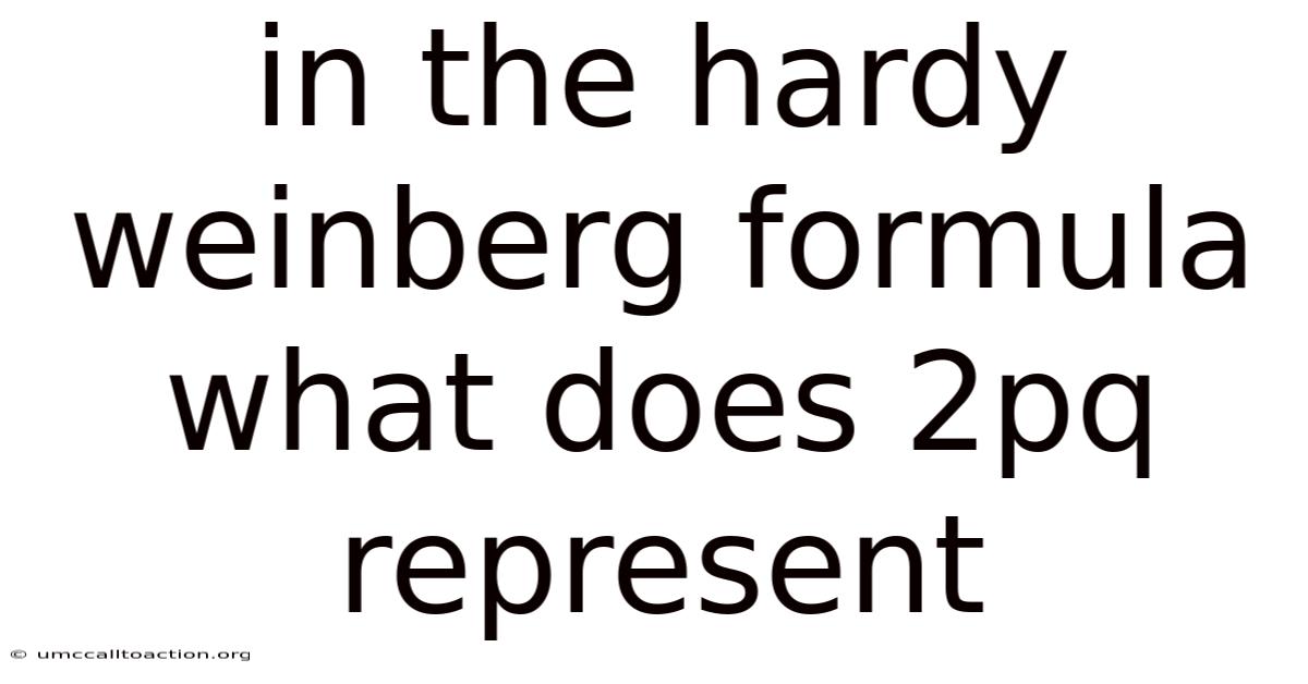 In The Hardy Weinberg Formula What Does 2pq Represent