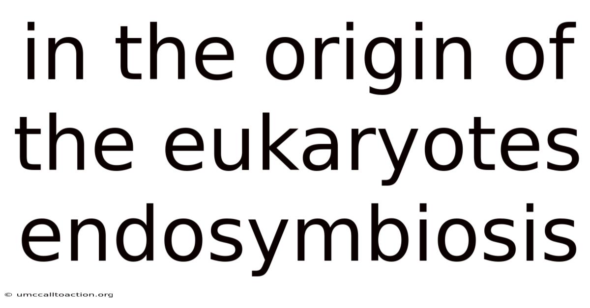 In The Origin Of The Eukaryotes Endosymbiosis