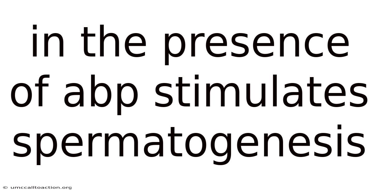 In The Presence Of Abp Stimulates Spermatogenesis