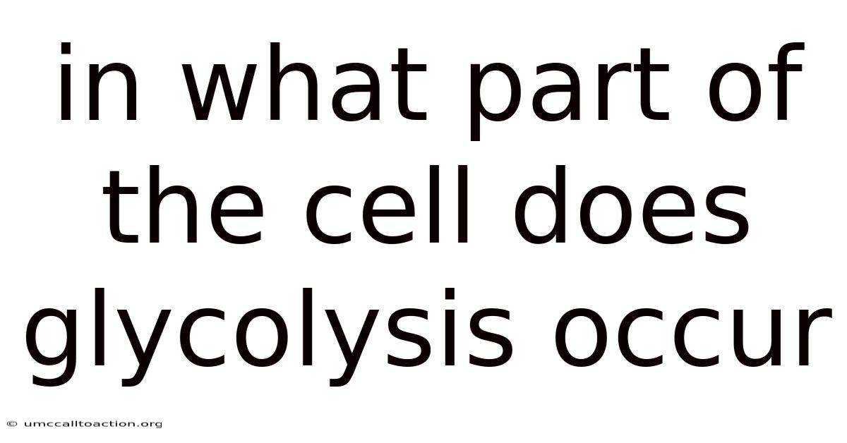 In What Part Of The Cell Does Glycolysis Occur