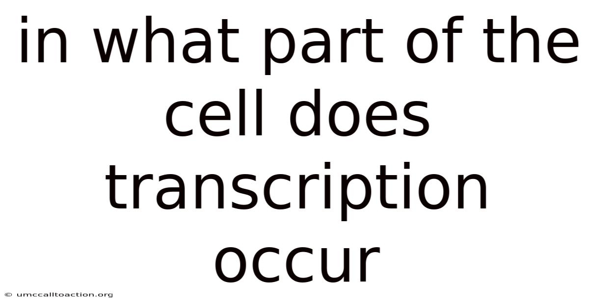 In What Part Of The Cell Does Transcription Occur