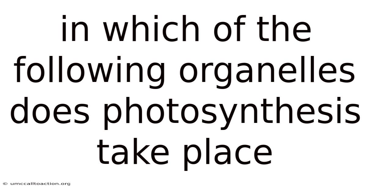In Which Of The Following Organelles Does Photosynthesis Take Place