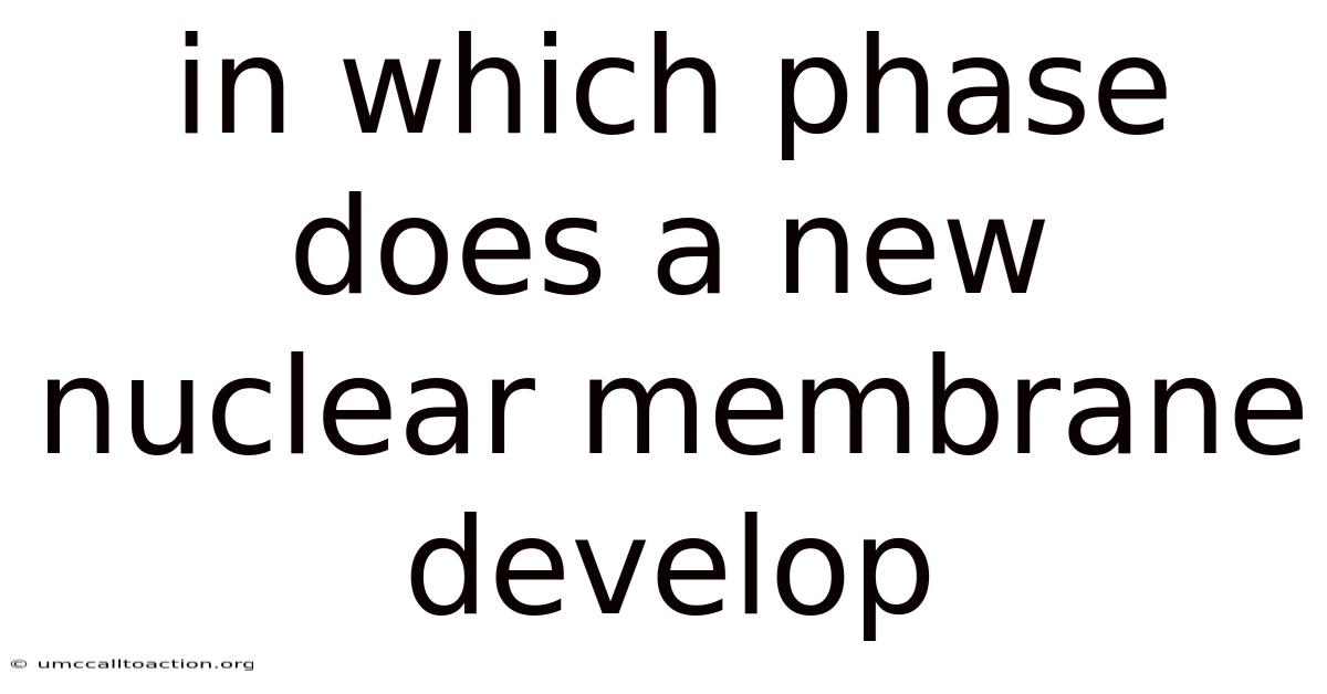 In Which Phase Does A New Nuclear Membrane Develop