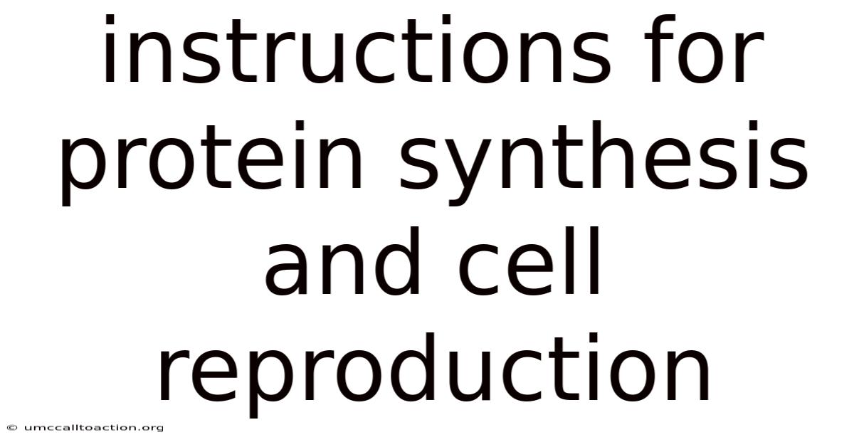 Instructions For Protein Synthesis And Cell Reproduction