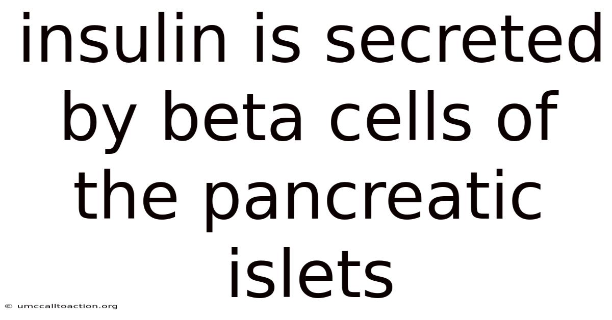 Insulin Is Secreted By Beta Cells Of The Pancreatic Islets