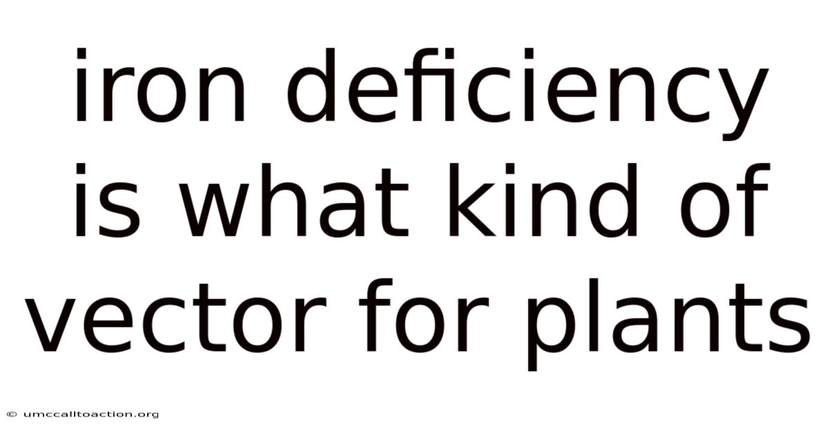 Iron Deficiency Is What Kind Of Vector For Plants
