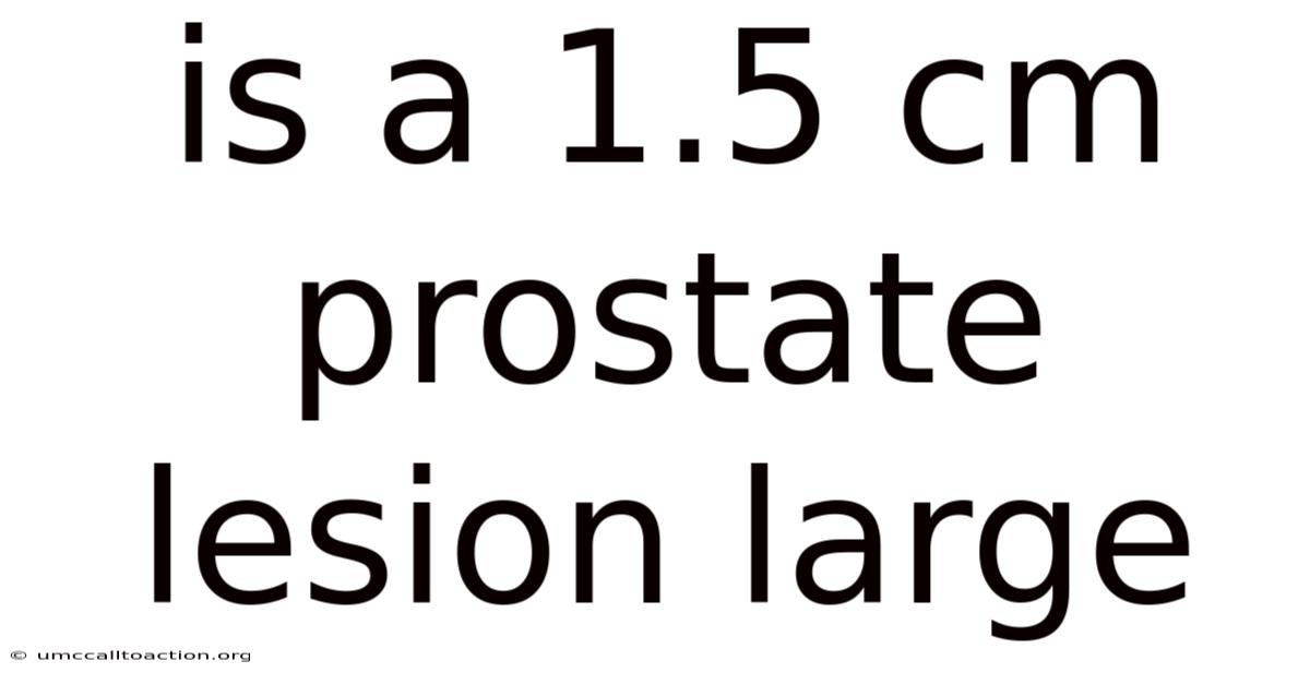 Is A 1.5 Cm Prostate Lesion Large