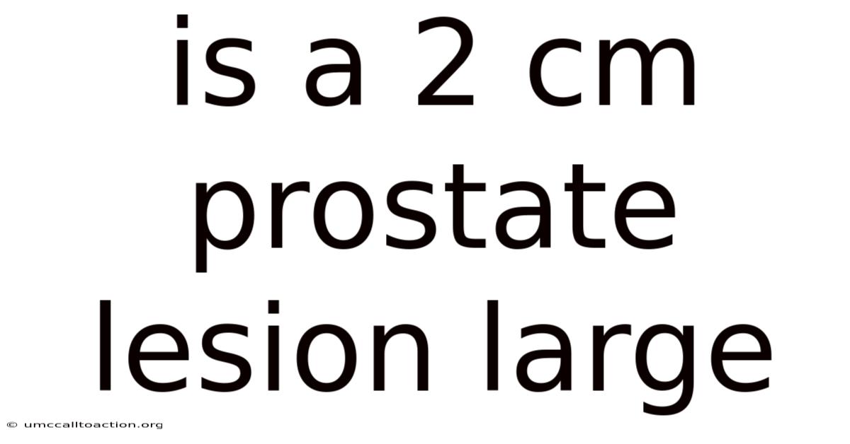 Is A 2 Cm Prostate Lesion Large