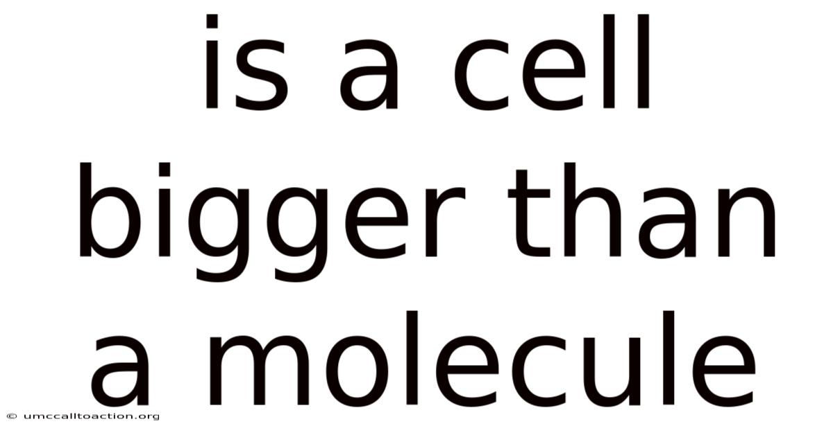 Is A Cell Bigger Than A Molecule