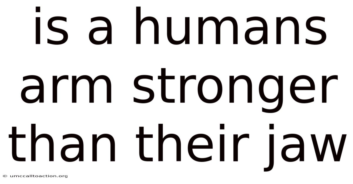 Is A Humans Arm Stronger Than Their Jaw