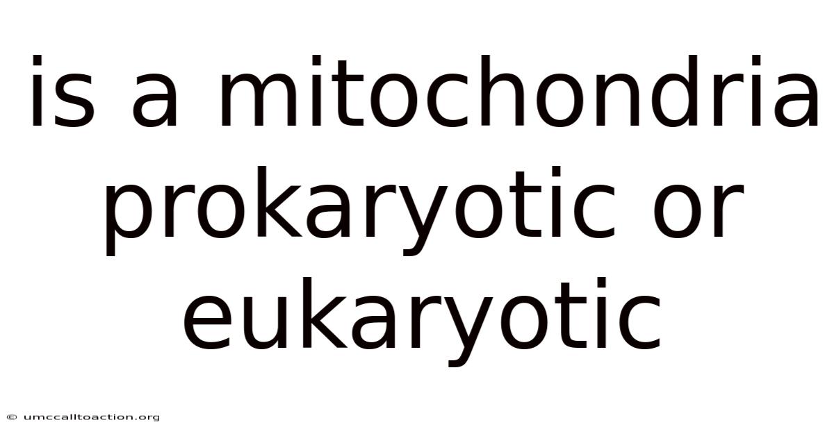 Is A Mitochondria Prokaryotic Or Eukaryotic