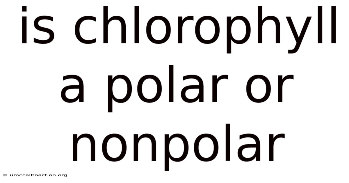 Is Chlorophyll A Polar Or Nonpolar