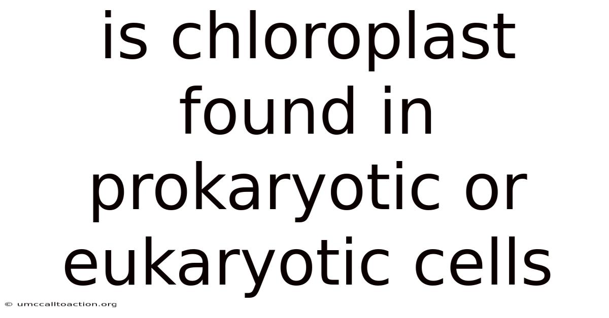 Is Chloroplast Found In Prokaryotic Or Eukaryotic Cells